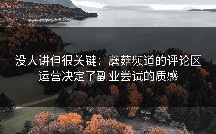 没人讲但很关键：蘑菇频道的评论区运营决定了副业尝试的质感